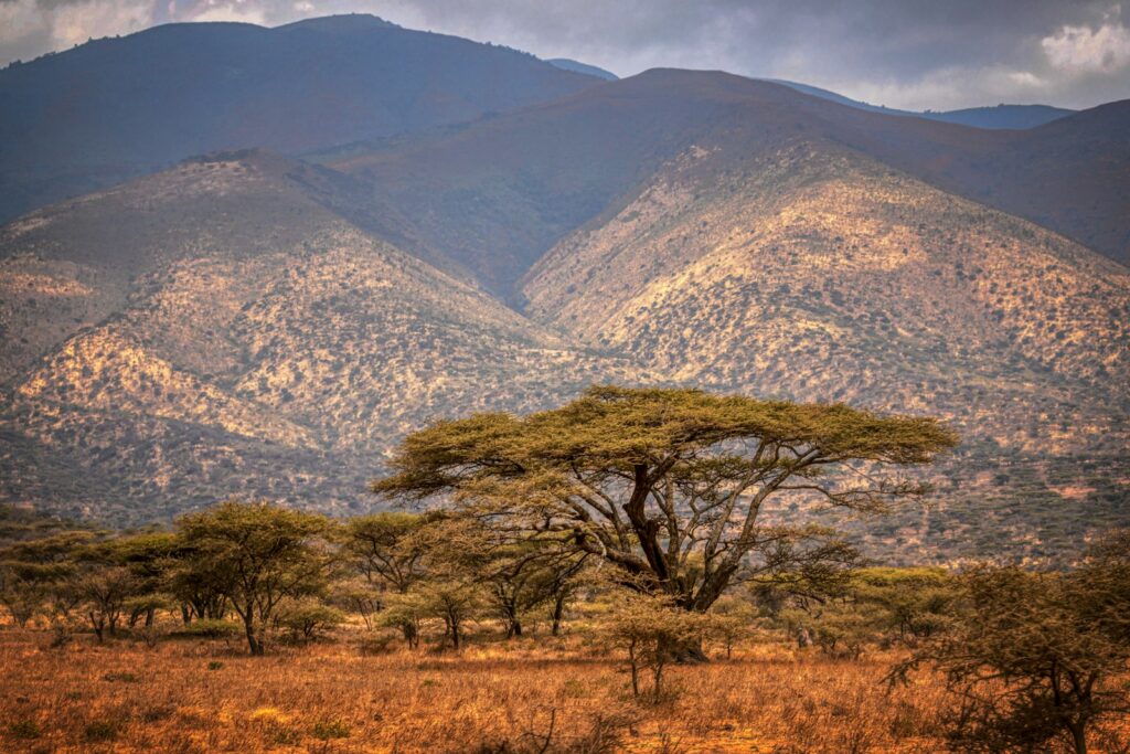 Tanzania eSIM data plan