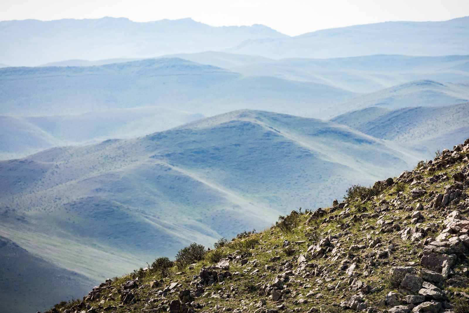 Rolling green hills of the Mongolian steppe under hazy light