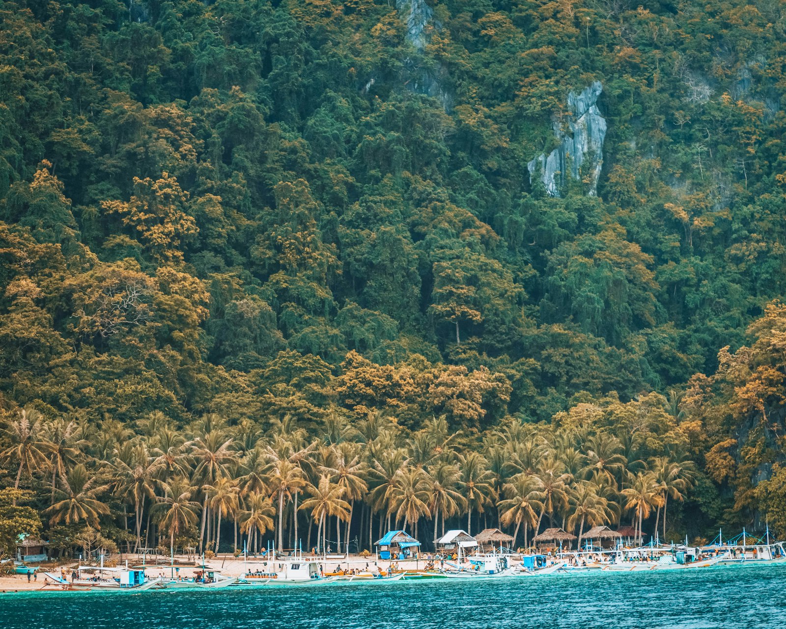 Palm-fringed beach with limestone cliffs in Palawan, Philippines