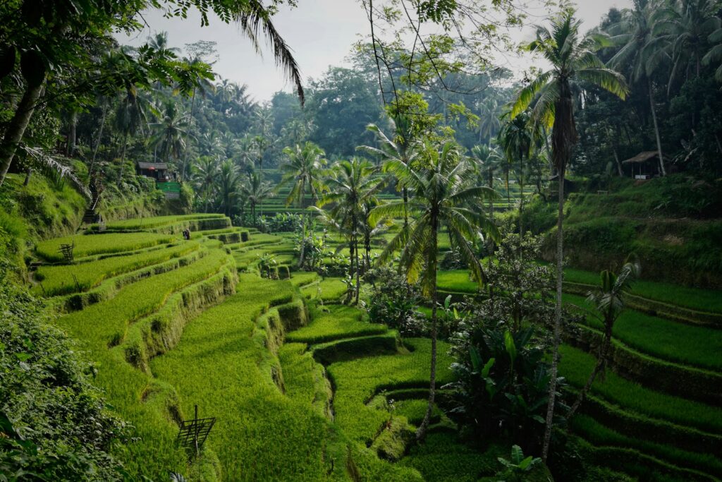 Indonesia eSIM data plan