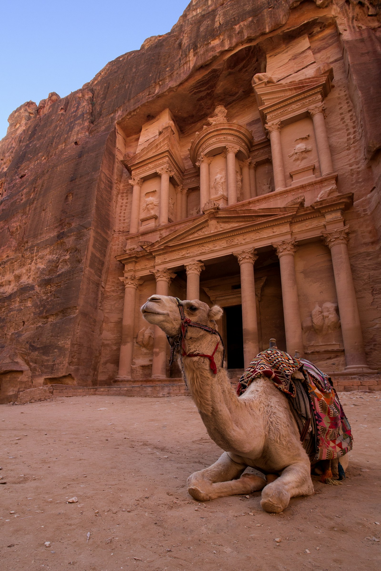 A camel resting before the Treasury (Al-Khazneh) at Petra, Jordan